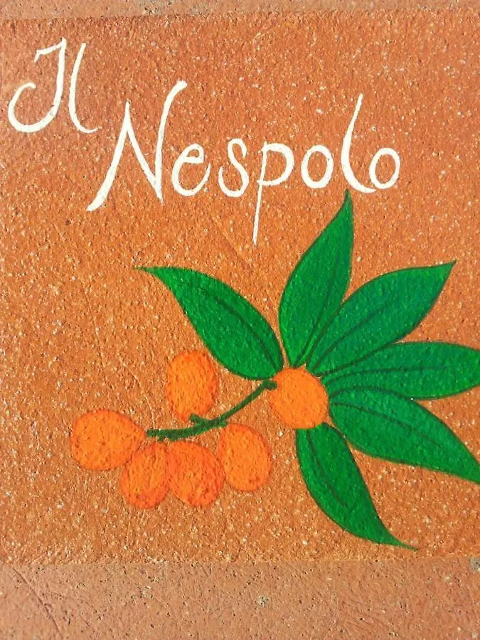 Appartamento Il Nespolo Pomonte Apartment